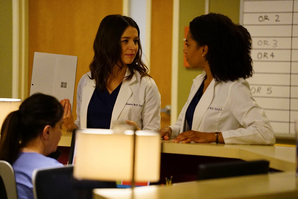 Grey's Anatomy Season 13 Episode 22 CATERINA SCORSONE, KELLY MCCREARY | Tell-Tale TV GRET'S ANATOMY - "Leave It Inside" - April and Andrew consult with a fiery patient who has a giant, inoperable heart tumor. Meanwhile, Alex and Eliza are at odds over the treatment of a young patient, and Stephanie and Ben make decisions that could affect their careers, on "Grey's Anatomy," THURSDAY, MAY 4 (8:00-9:01 p.m. EDT), on The ABC Television Network. (ABC/Richard Cartwright) Grey’s Anatomy Photo Preview: Jeopardy - Part 4 GRET'S ANATOMY - "Leave It Inside" - April and Andrew consult with a fiery patient who has a giant, inoperable heart tumor. Meanwhile, Alex and Eliza are at odds over the treatment of a young patient, and Stephanie and Ben make decisions that could affect their careers, on "Grey's Anatomy," THURSDAY, MAY 4 (8:00-9:01 p.m. EDT), on The ABC Television Network. (ABC/Richard Cartwright)