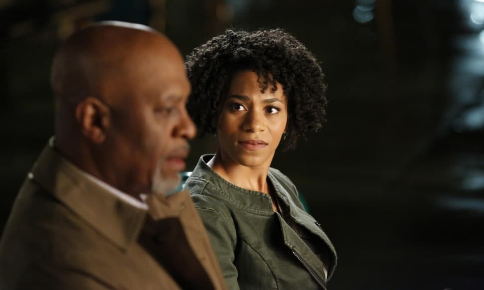 "Grey Why Thatcher Should Return to ‘Grey’s Anatomy’ in a Post-‘Scandal’ World's Anatomy" Season 10, Episode 24