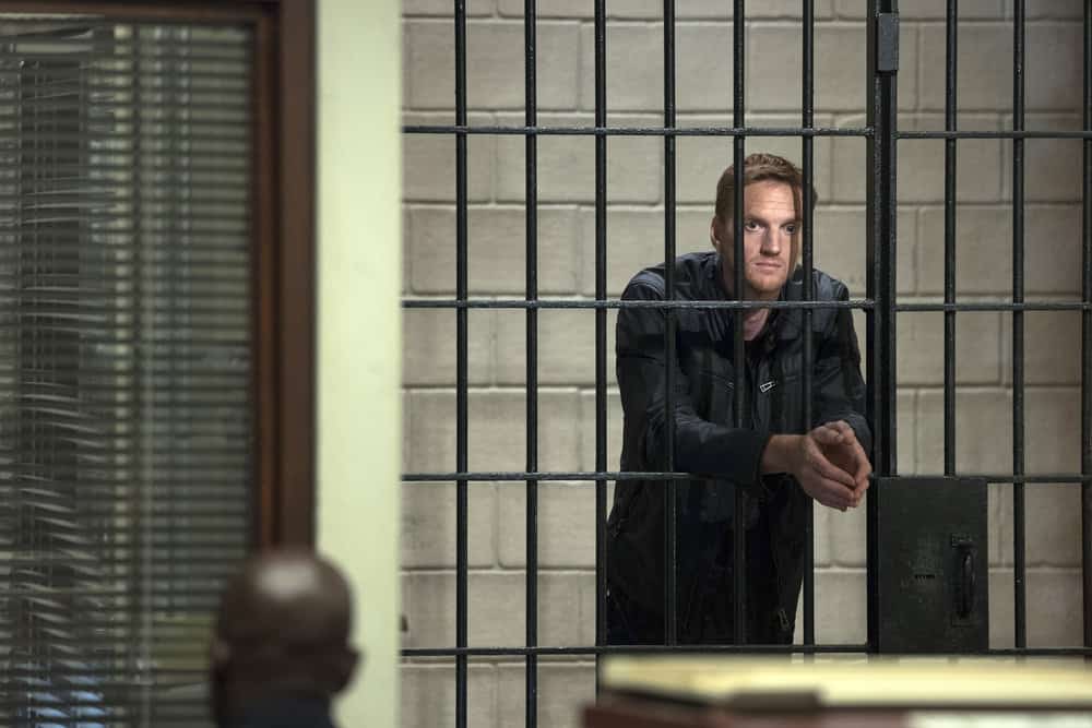 Shades of Blue – Season 3