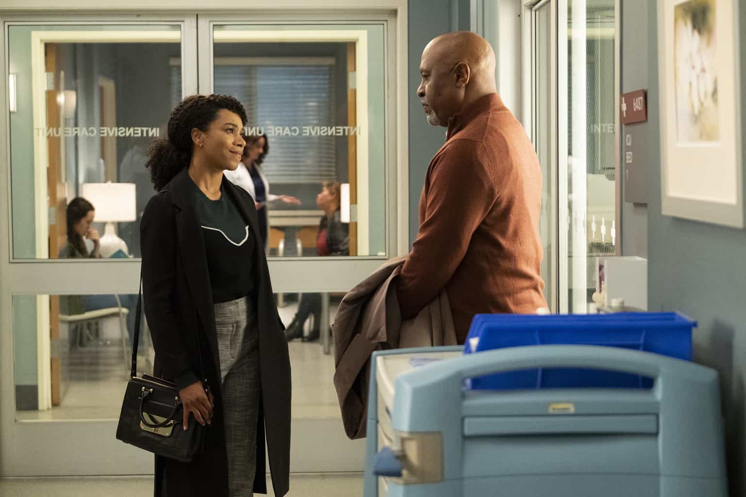 KELLY MCCREARY, JAMES PICKENS JR. Preview — Grey’s Anatomy Season 15 Episode 22: Head Over High Heels - Part 2